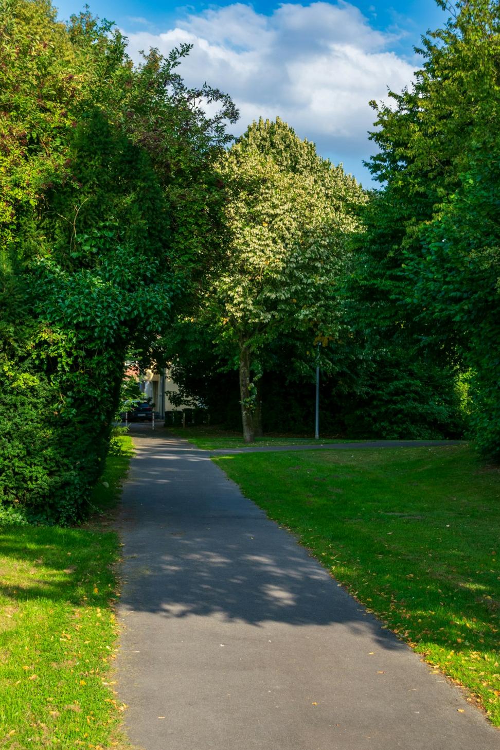 Beacon Hill Park